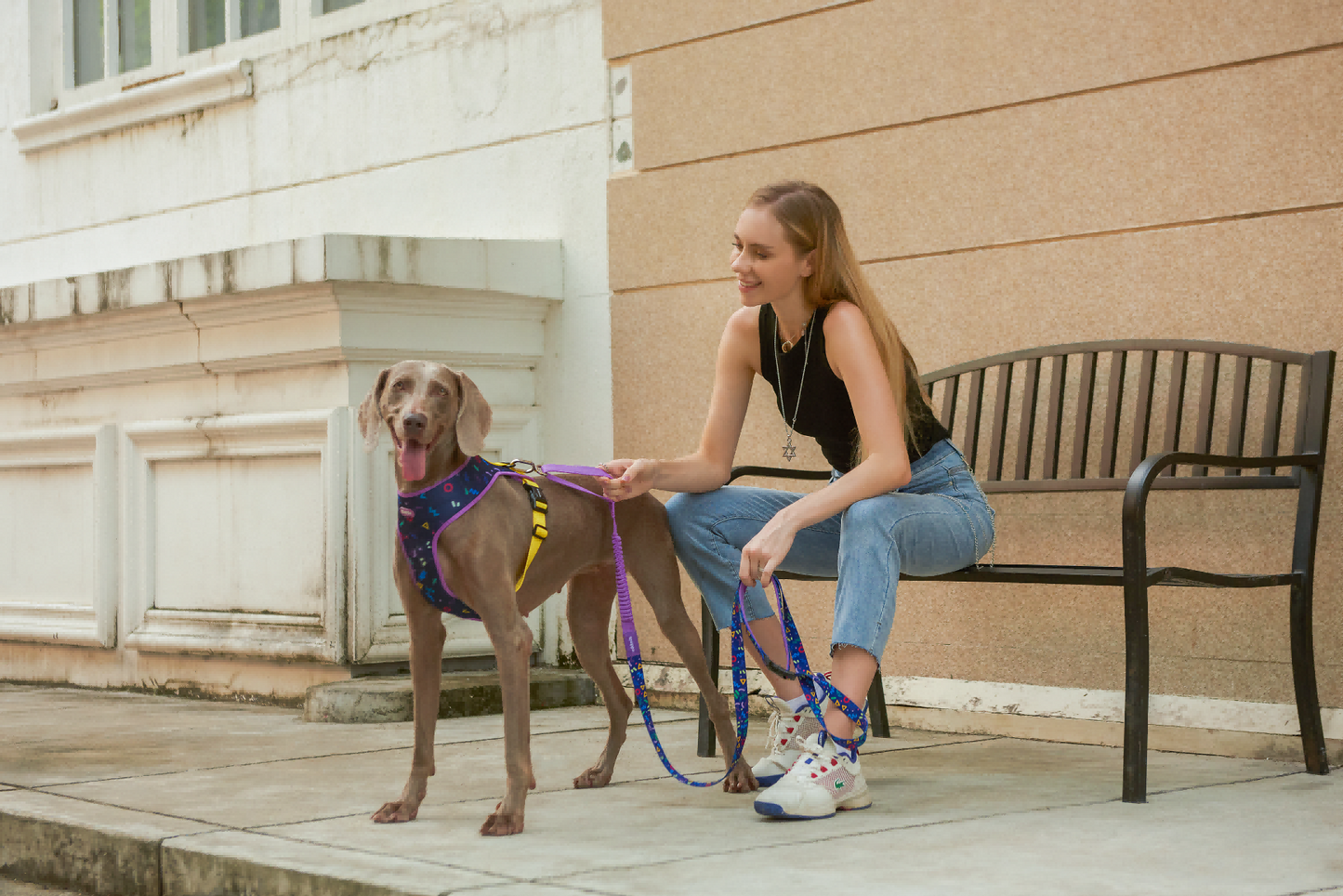 Starry Night - Hands-Free Dog Leash