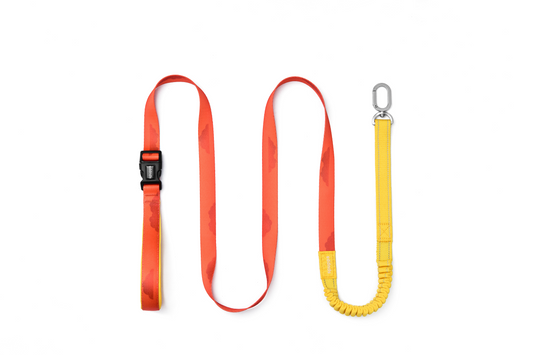 Sunset Hill - Hands-Free Dog Leash