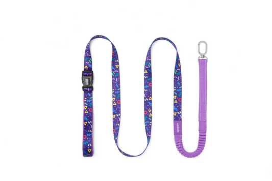 Starry Night - Hands-Free Dog Leash