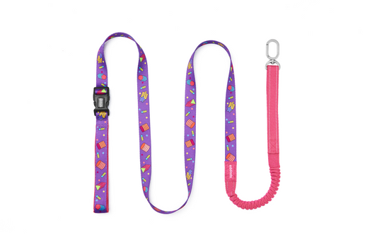 Abstract Geometry - Hands-Free Dog Leash