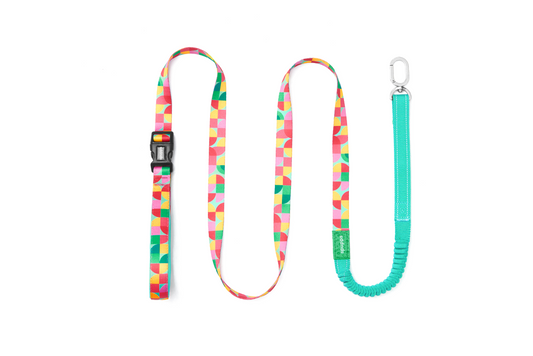 Summer Vibe - Hands-Free Dog Leash