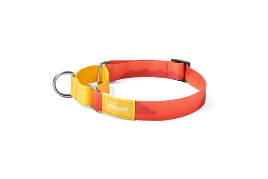 Sunset Hill - Martingale Dog Collar