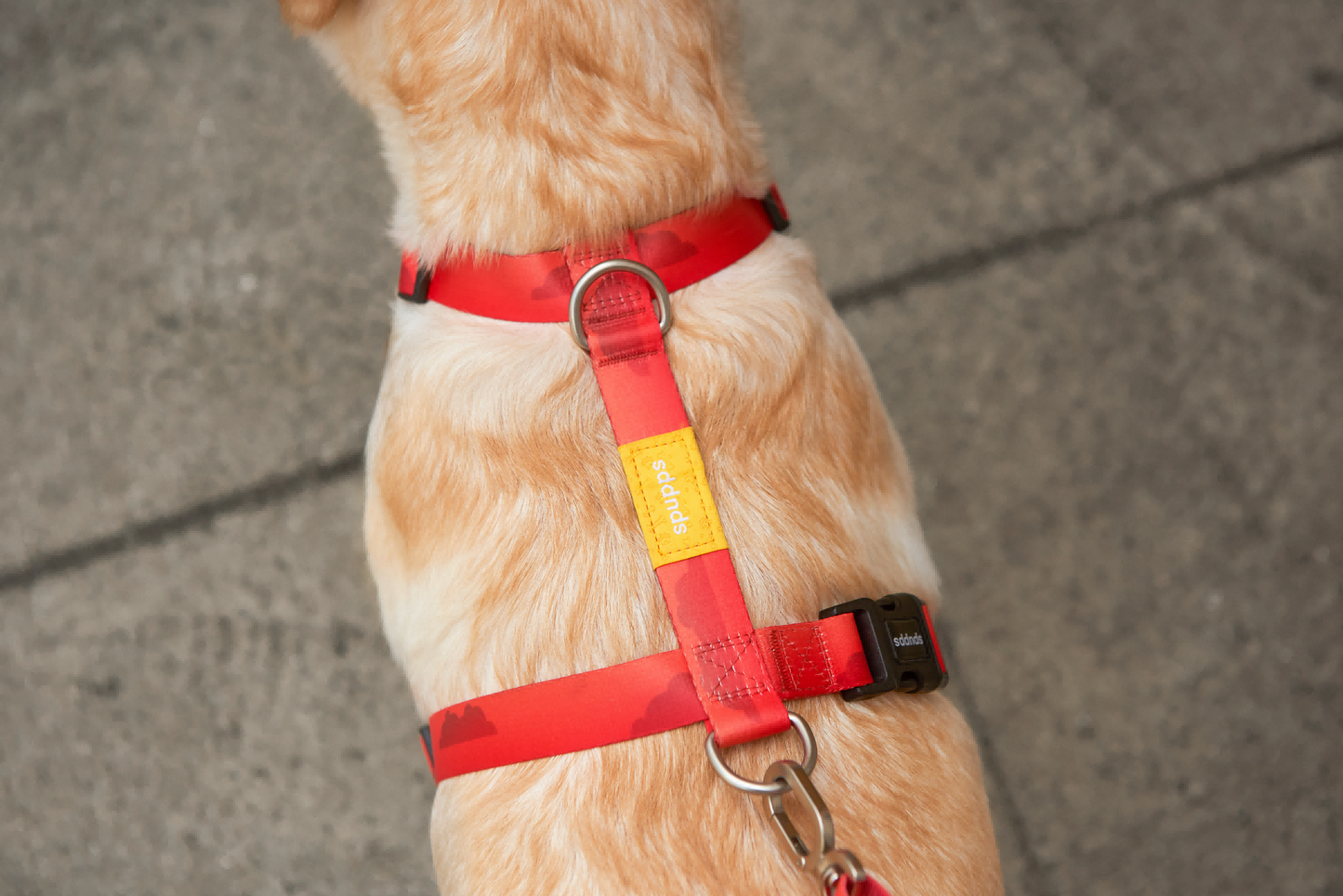 Sunset Hill - H-style Dog Harness