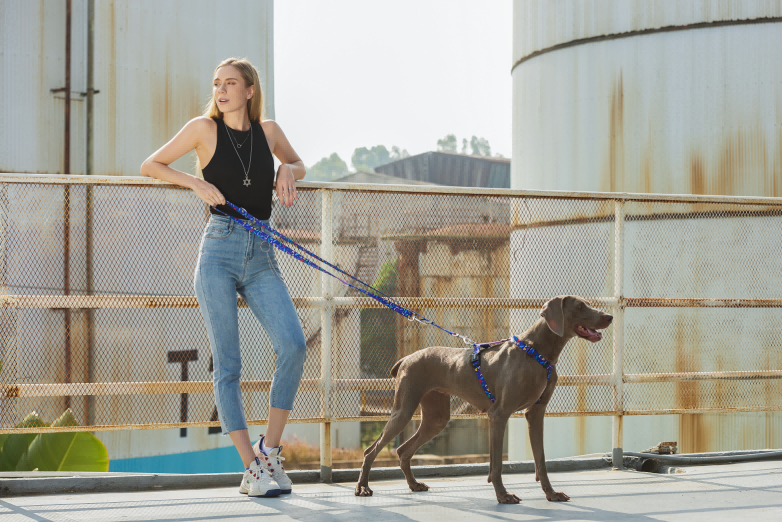 Starry Night - H-style Dog Harness